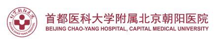 首都医科大学附属北京朝阳医院整形美容外科