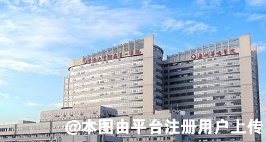 暨南大学医学院第一附属医院整形外科