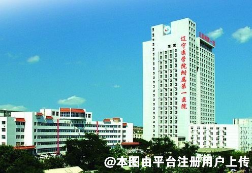 辽宁医学院附属第一医院烧伤整形科