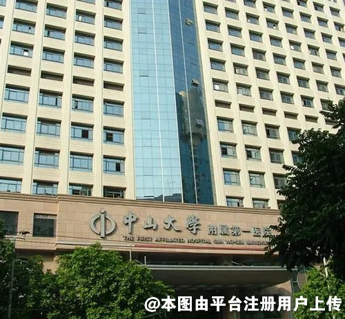 中山大学附属第一医院整形外科