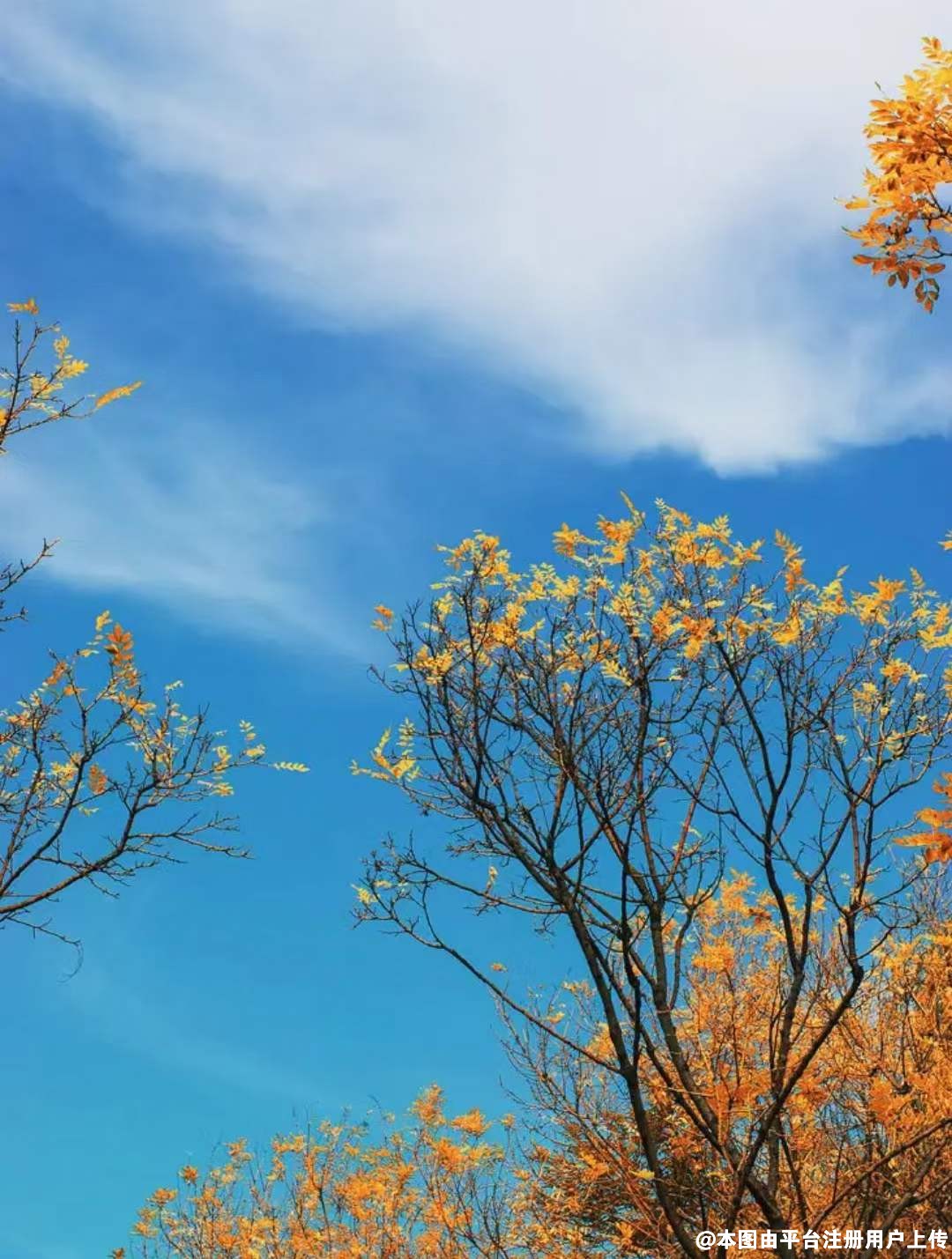 需要注意一点，并不是人人都适合做注射除皱的
