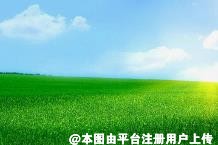 晚意