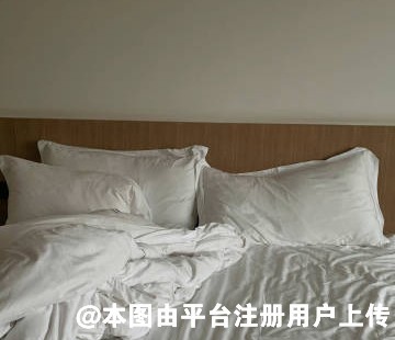 柯基