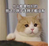 祝她开心