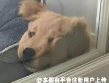 困得不能再困
