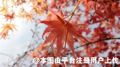 苦恼 如何改善三眼皮问题