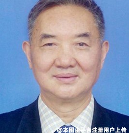 张金嵩