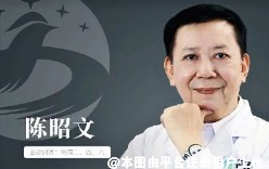 陈昭文