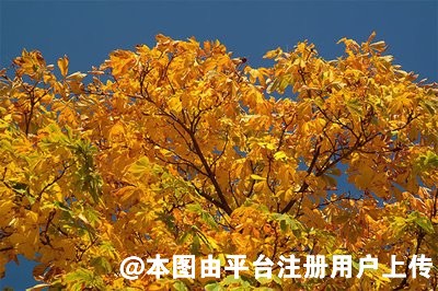 想成仙女 要从皮肤抗衰老开始