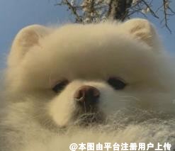 你的名字