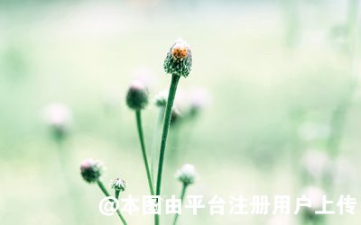 2022年就剩一个月了 想要变美赶紧的