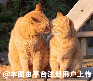 多喝点板蓝根