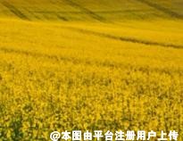 做了颧骨内推后多久才算真正的消肿 容易让面部松弛吗