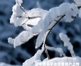 为什么鼻尖部分的整形材料建议用自体软骨-36040