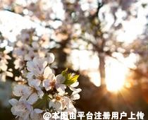 牙齿出现这些症状及时看医生 越拖花钱越多