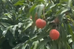 春天是皮肤容易过敏的季节 解锁护肤的正确打开方式