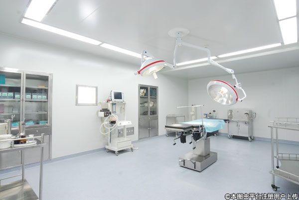 49981