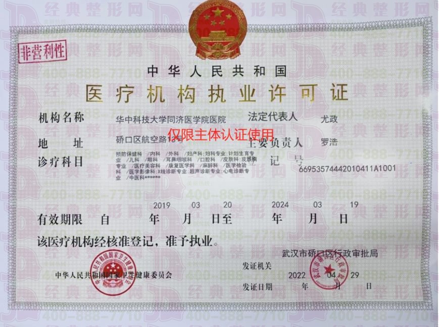 51365