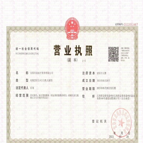 51665