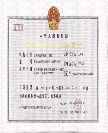 52133
