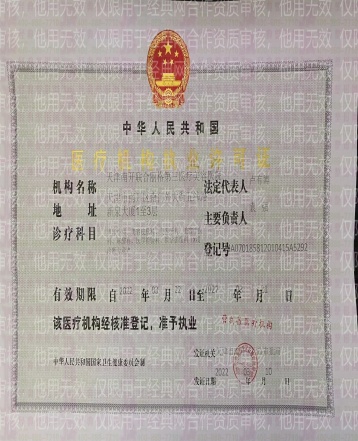 53261