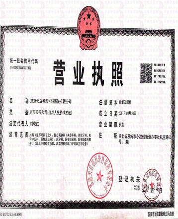 54262