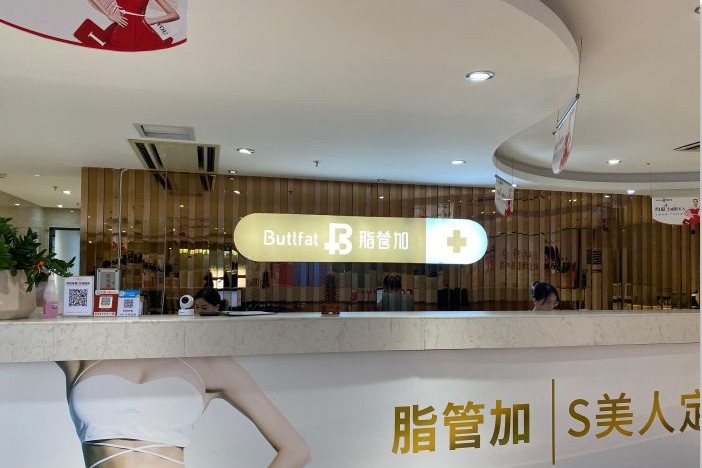 54537