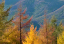 秋季医美后旅行攻略：出游期间如何护理