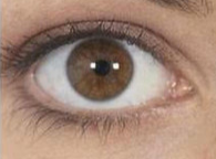 开内眼角后泪小管断裂修复避坑指南：抓住黄金24小时，科学重建泪道